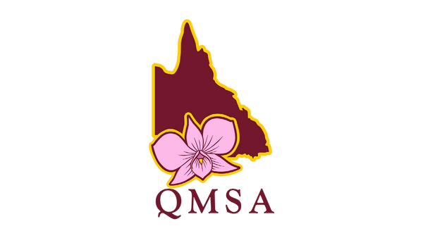 Our QMSA Logo