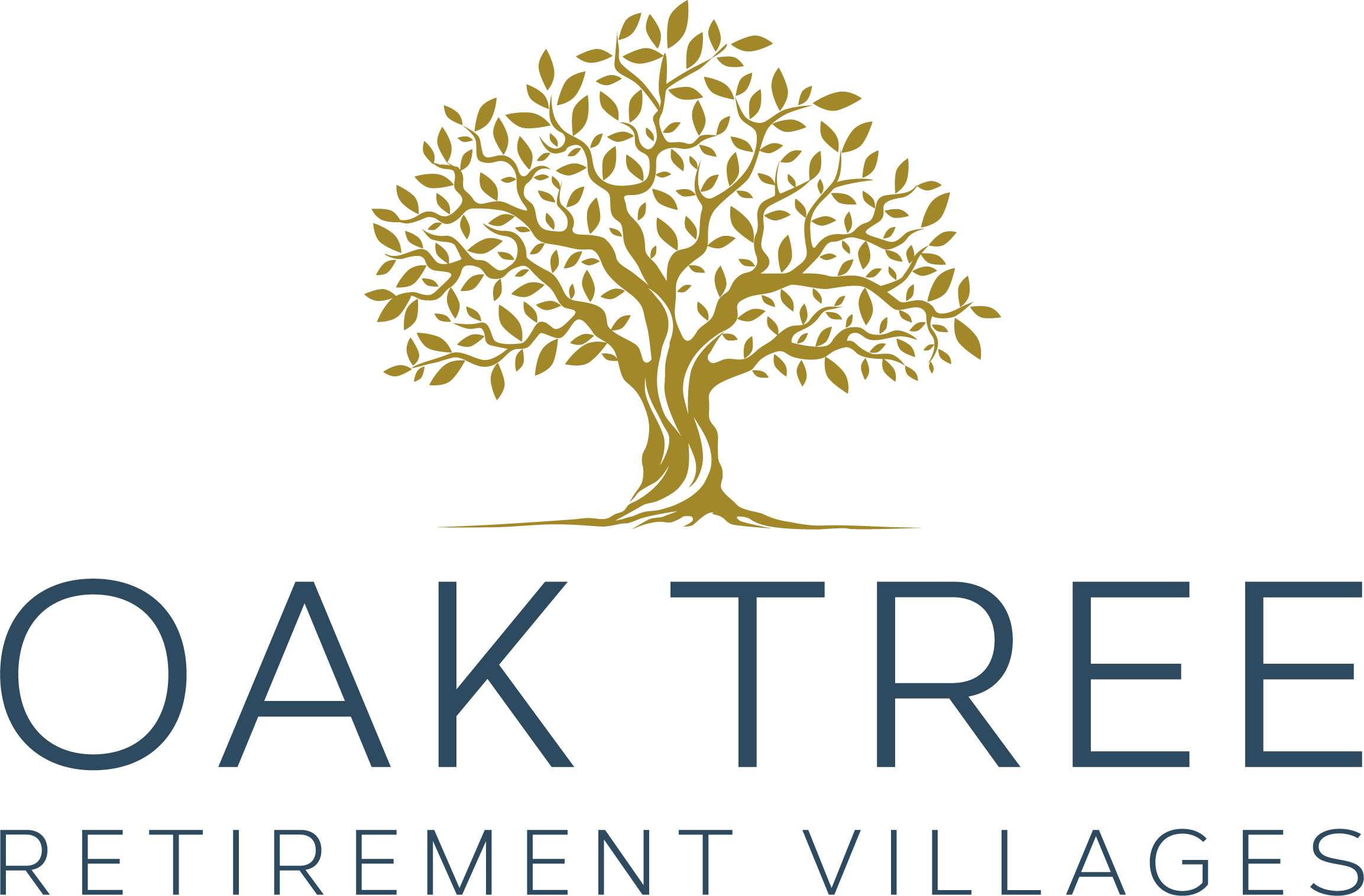 Oak Tree logo